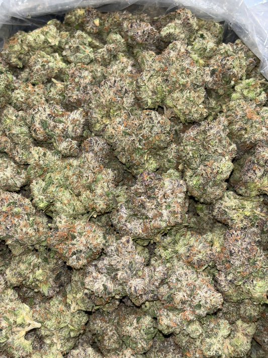 Zaza hemp