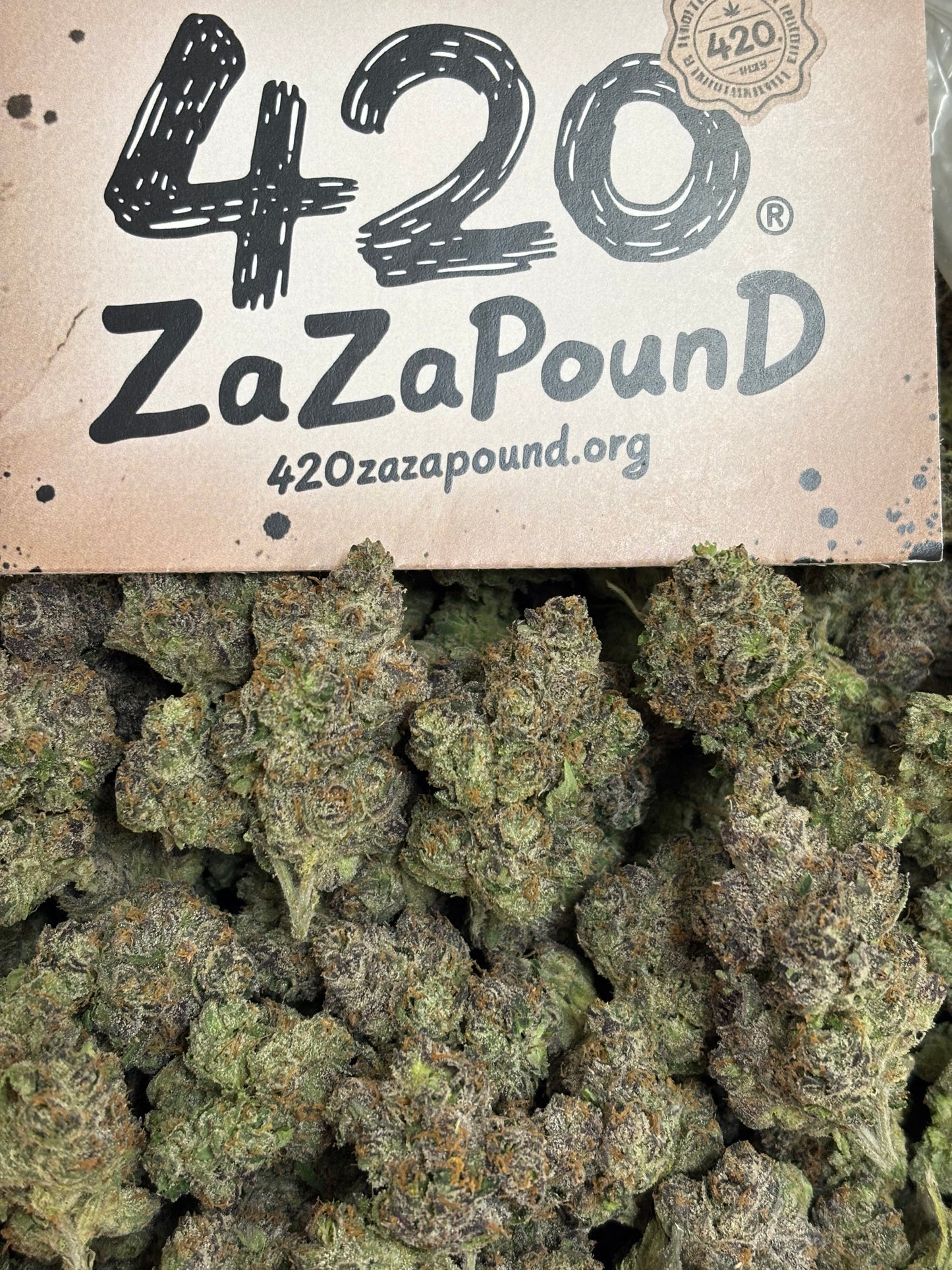 Ghost 👻 face 🍭