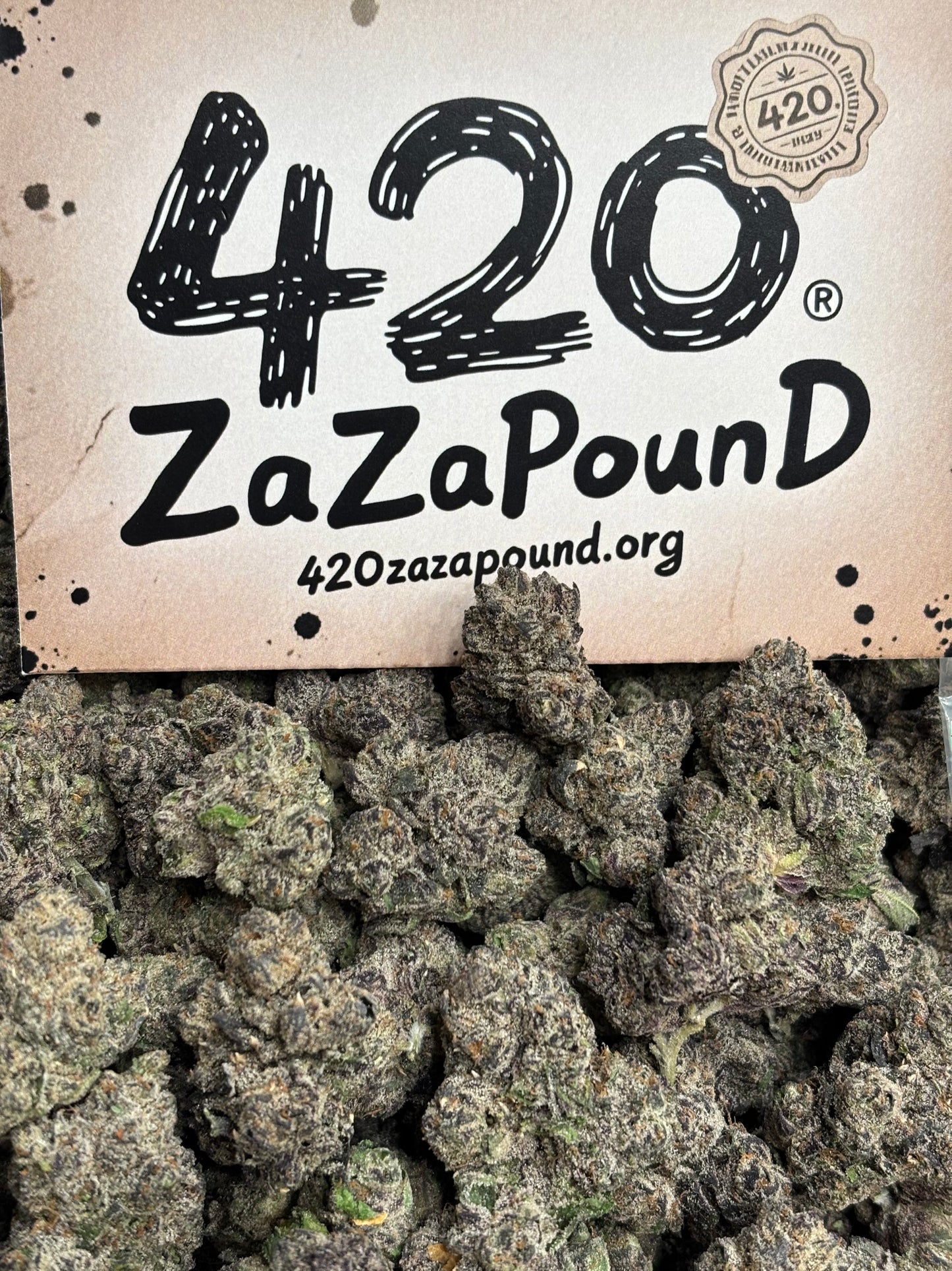 Donald Trump 🍭🐳