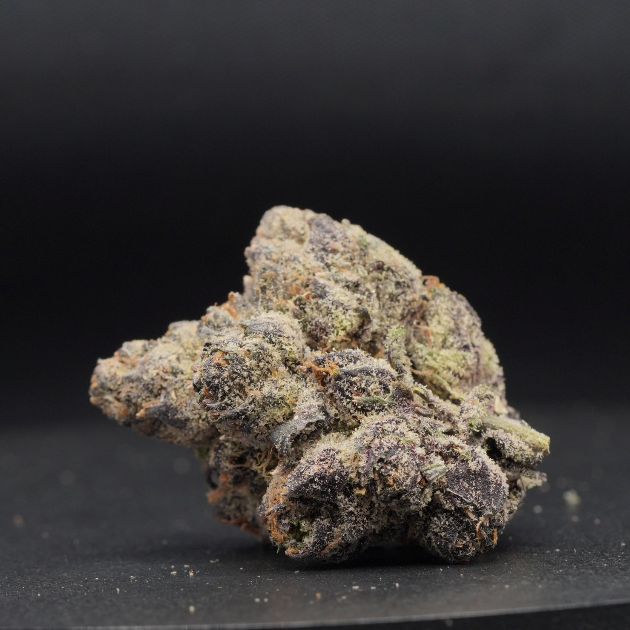 Zaza exotic