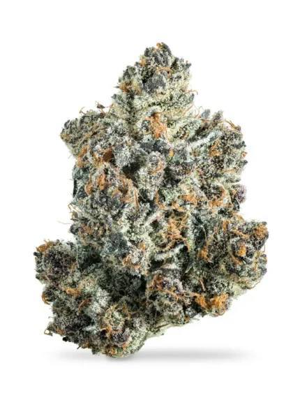 Thca Sour Gelatti
