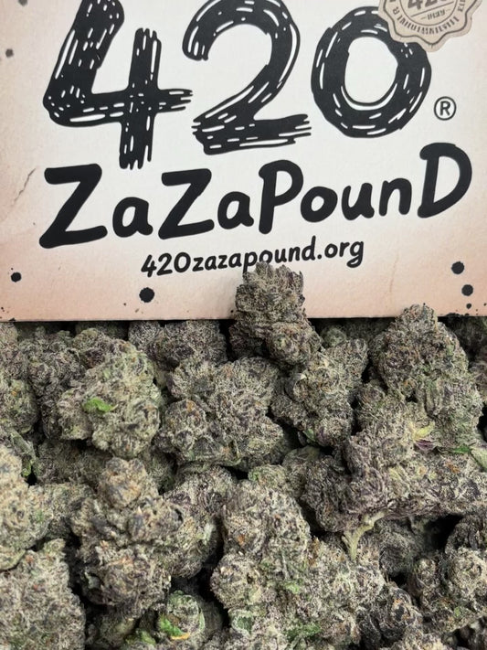 Donald Trump 🍭🐳